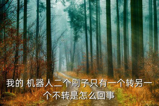 掃地機器人邊刷彎了