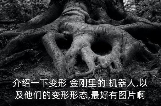 介紹一下變形 金剛里的 機器人,以及他們的變形形態(tài),最好有圖片啊