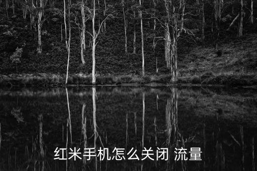 紅米手機(jī)怎么關(guān)閉 流量