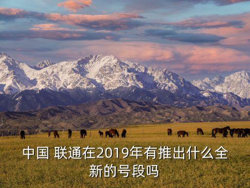 中國(guó) 聯(lián)通在2019年有推出什么全新的號(hào)段嗎