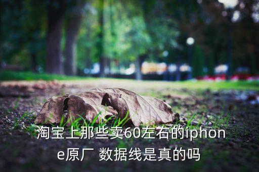  淘寶上那些賣60左右的iphone原廠 數(shù)據(jù)線是真的嗎