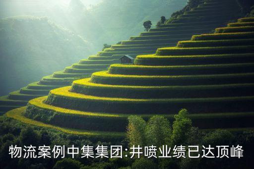 中國(guó)集裝箱數(shù)據(jù)中心,集裝箱數(shù)據(jù)中心有哪些優(yōu)點(diǎn)?常見的節(jié)能措施有哪些?
