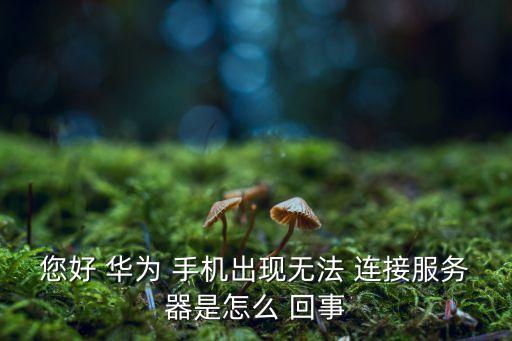 您好 華為 手機(jī)出現(xiàn)無法 連接服務(wù)器是怎么 回事