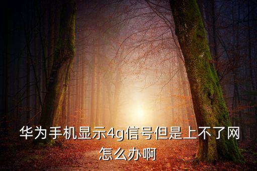  華為手機顯示4g信號但是上不了網(wǎng)怎么辦啊