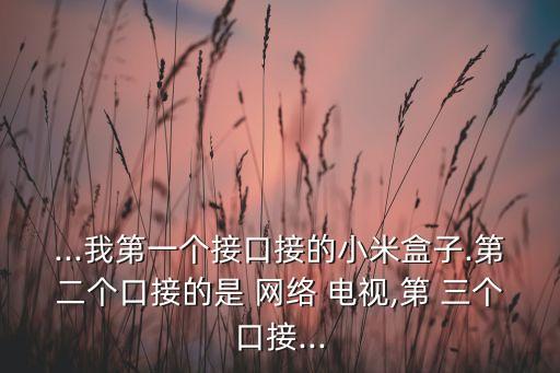 ...我第一個接口接的小米盒子.第二個口接的是 網(wǎng)絡(luò) 電視,第 三個口接...