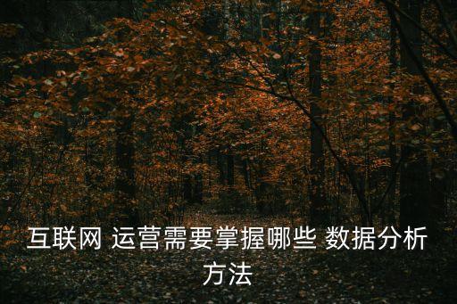 數(shù)據(jù)運(yùn)營與數(shù)據(jù)分析