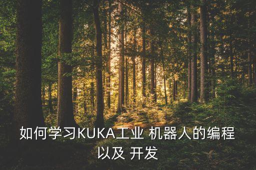 如何學(xué)習(xí)KUKA工業(yè) 機(jī)器人的編程以及 開發(fā)