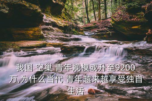 空巢青年數(shù)據(jù)報告,中國青年大數(shù)據(jù)洞察報告