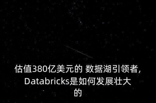 估值380億美元的 數(shù)據(jù)湖引領者,Databricks是如何發(fā)展壯大的