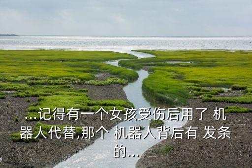 ...記得有一個女孩受傷后用了 機器人代替,那個 機器人背后有 發(fā)條的...