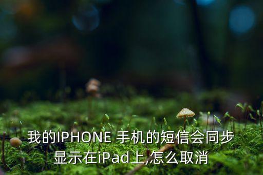 我的IPHONE 手機(jī)的短信會(huì)同步顯示在iPad上,怎么取消