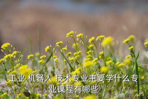 工業(yè) 機器人 技術(shù)專業(yè)主要學(xué)什么專業(yè)課程有哪些