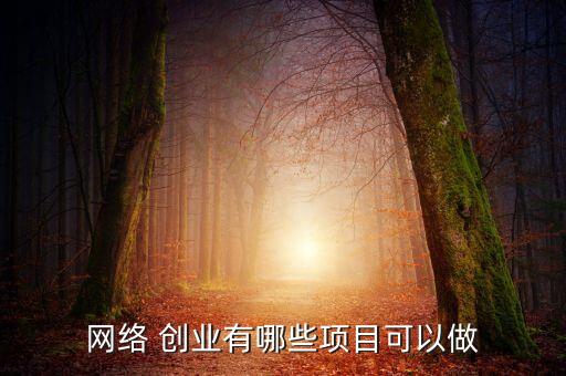 網(wǎng)絡(luò) 創(chuàng)業(yè)有哪些項(xiàng)目可以做