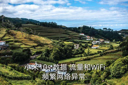  小米10s 數(shù)據(jù) 流量和WiFi頻繁網(wǎng)絡(luò)異常