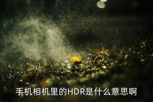 手機(jī)相機(jī)里的HDR是什么意思啊