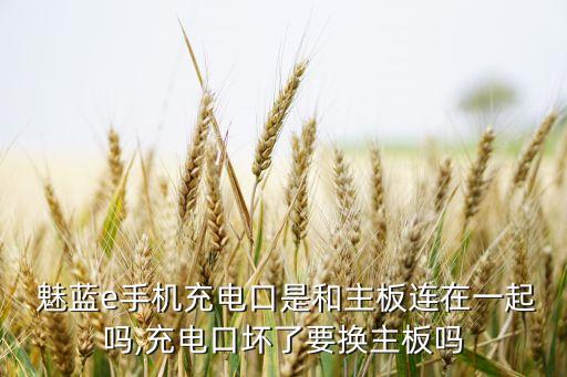  魅藍(lán)e手機(jī)充電口是和主板連在一起嗎,充電口壞了要換主板嗎