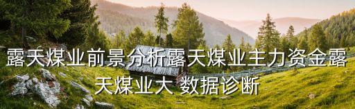 露天煤業(yè)前景分析露天煤業(yè)主力資金露天煤業(yè)大 數(shù)據(jù)診斷