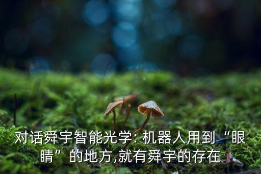對話舜宇智能光學(xué): 機(jī)器人用到“眼睛”的地方,就有舜宇的存在