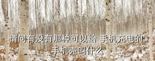 請(qǐng)問有沒有那種可以給 手機(jī)充電的 手機(jī)殼叫什么