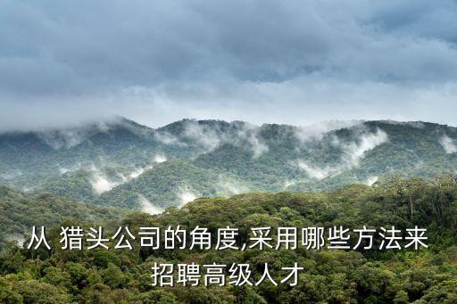 獵頭大數(shù)據(jù),獵頭數(shù)據(jù)分析師可靠嗎