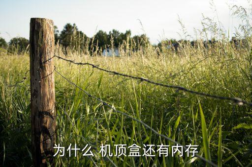 機頂盒 數(shù)據(jù)