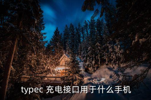  typec 充電接口用于什么手機(jī)