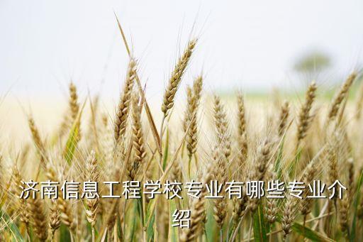  濟(jì)南信息工程學(xué)校專業(yè)有哪些專業(yè)介紹