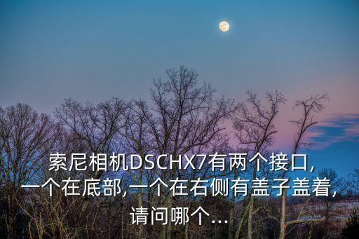  索尼相機(jī)DSCHX7有兩個(gè)接口,一個(gè)在底部,一個(gè)在右側(cè)有蓋子蓋著,請(qǐng)問哪個(gè)...