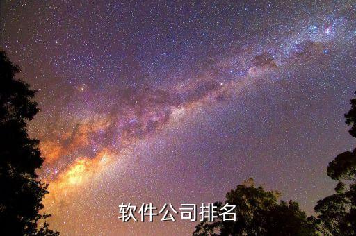 軟件公司排名