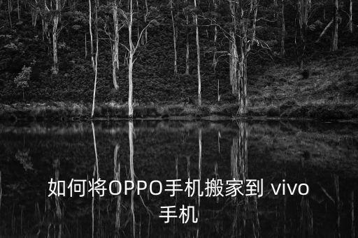 vivo怎么和oppo傳數(shù)據(jù),OPPO和vivo可以互傳數(shù)據(jù)嗎