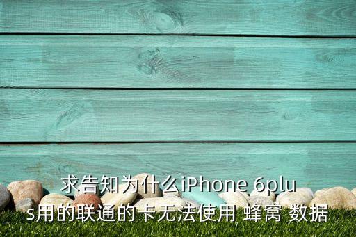6plus有些軟件蜂窩數(shù)據(jù)不顯示