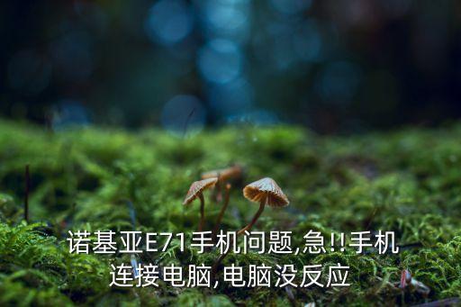  諾基亞E71手機(jī)問(wèn)題,急!!手機(jī)連接電腦,電腦沒(méi)反應(yīng)