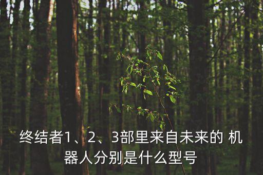 終結(jié)者1、2、3部里來自未來的 機(jī)器人分別是什么型號