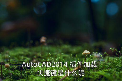 數(shù)據(jù)快捷插件,快捷復(fù)制網(wǎng)址的插件