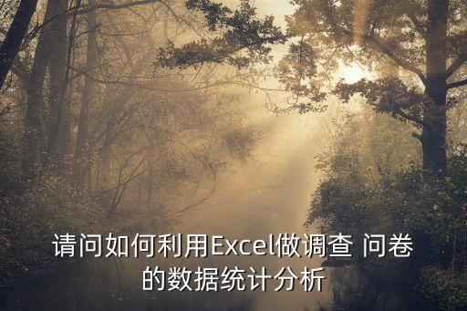請問如何利用Excel做調(diào)查 問卷的數(shù)據(jù)統(tǒng)計分析