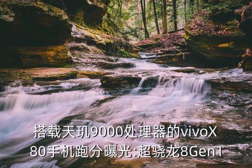 搭載天璣9000處理器的vivoX80手機跑分曝光:超驍龍8Gen1