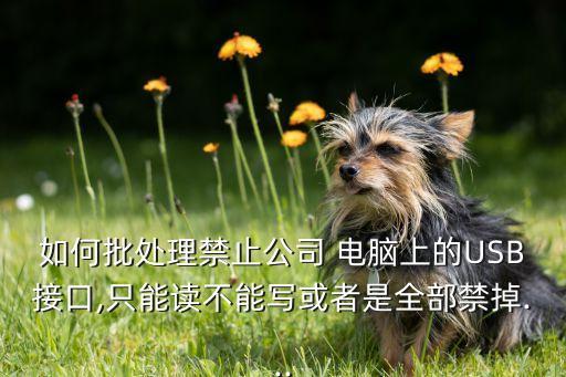 如何批處理禁止公司 電腦上的USB接口,只能讀不能寫或者是全部禁掉...