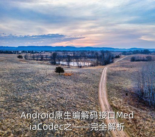 Android原生編解碼接口MediaCodec之——完全解析