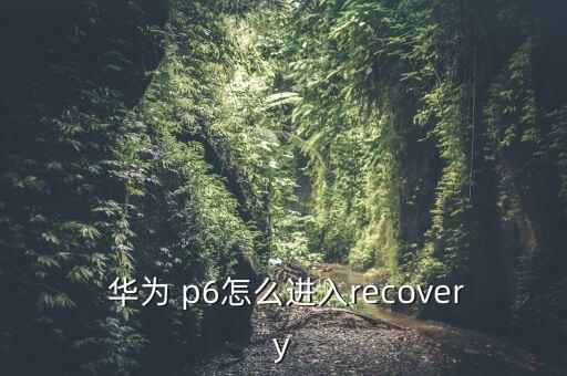  華為 p6怎么進(jìn)入recovery