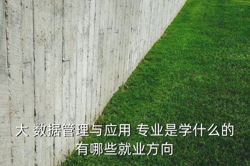 大 數(shù)據(jù)管理與應用 專業(yè)是學什么的有哪些就業(yè)方向