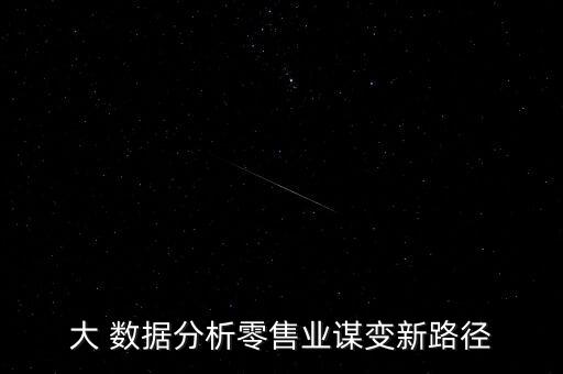 大 數(shù)據(jù)分析零售業(yè)謀變新路徑