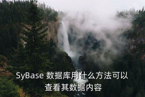 SyBase 數(shù)據(jù)庫用什么方法可以 查看其數(shù)據(jù)內(nèi)容