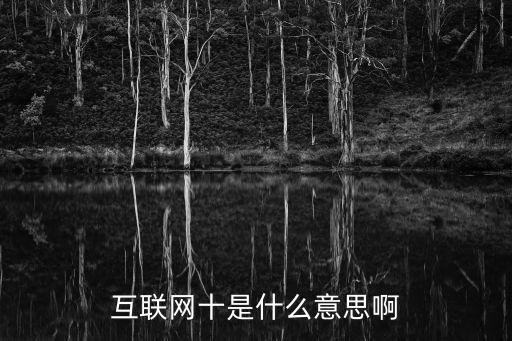 互聯(lián)網(wǎng)十是什么意思啊