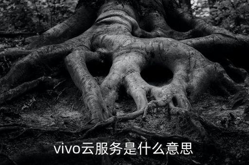 vivo云服務(wù)是什么意思