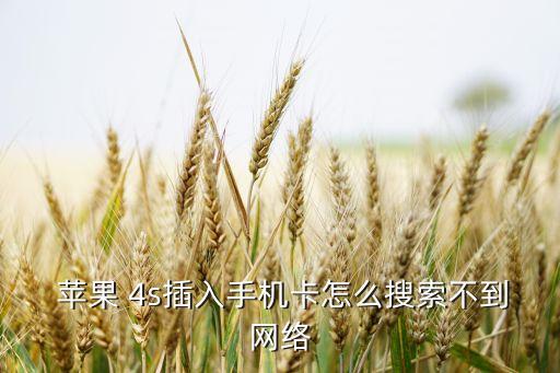  蘋果 4s插入手機(jī)卡怎么搜索不到網(wǎng)絡(luò)