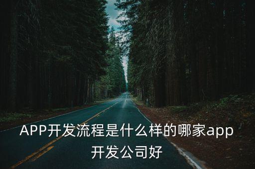 APP開發(fā)流程是什么樣的哪家app開發(fā)公司好
