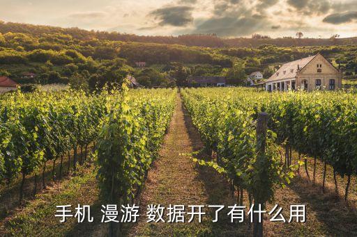 蘋果手機(jī)打開數(shù)據(jù)漫游,安卓手機(jī)怎么傳輸數(shù)據(jù)到安卓手機(jī)