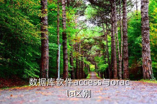  數(shù)據(jù)庫軟件access與oracle區(qū)別