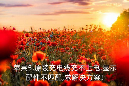 蘋果5數(shù)據(jù)線不支持怎么解決,蘋果數(shù)據(jù)線充電顯示不支持此配件