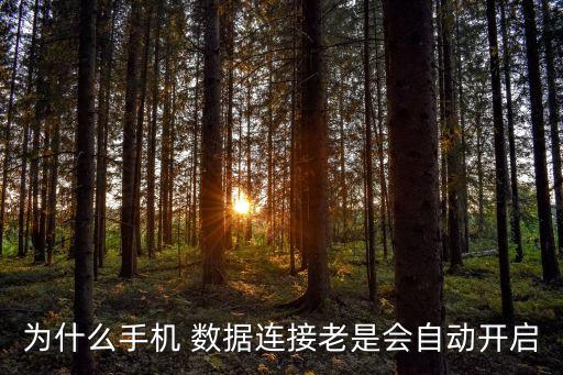 vivoy11數(shù)據(jù)網(wǎng)絡(luò)老是自己打開
